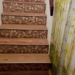 Apartman Sonnenschein In By Interhome *